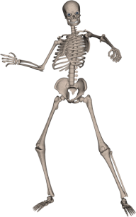 Skeleton PNG Free Download 4