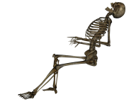 Skeleton PNG Free Download 9
