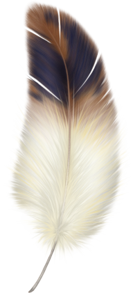 Sketched Feather Png Downlload