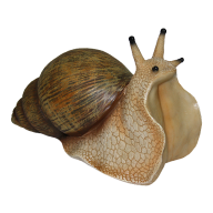 Snails PNG Free Download 1
