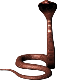 Snake PNG Free Download 11