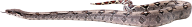Snake PNG Free Download 29