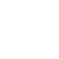 Snow Flakes PNG Free Download 11