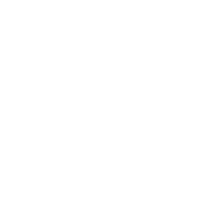 Snow Flakes PNG Free Download 37