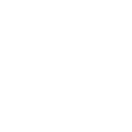 Snow Flakes PNG Free Download 39