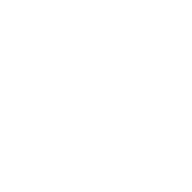 Snow Flakes PNG Free Download 42