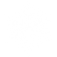 Snow Flakes PNG Free Download 43