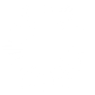 Snow Flakes PNG Free Download 45