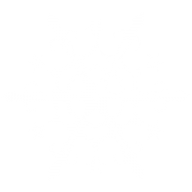 Snow Flakes PNG Free Download 47