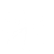 Snow Flakes PNG Free Download 50