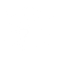 Snow Flakes PNG Free Download 52
