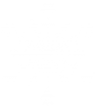 Snow Flakes PNG Free Download 66