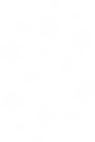 Snow Flakes PNG Free Download 69