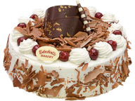 special cake free png download (2)