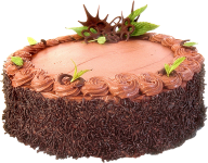special cake free png download (4)