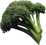 stem less green broccoil free png download