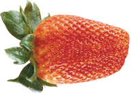 Strawberry PNG Free Download 21