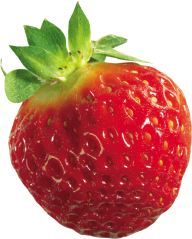 Strawberry PNG Free Download 40