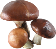 super 3 mushroom free download png