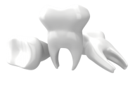 Teeth PNG Free Download 14