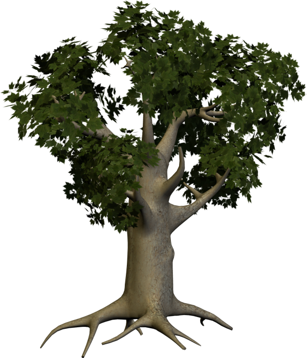 3D Papaya Tree Png