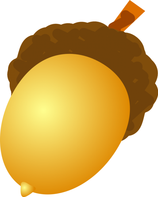 Acorn png drawn