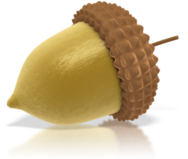 Acorn Png Golden color
