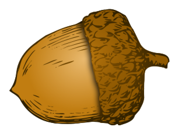 Acorn Png image Download for Designing