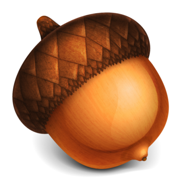 Acorn Png