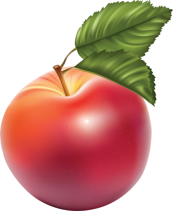 Apple drawn using photoshop png