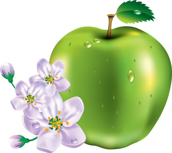 Apple icon with  Apple Flower Png