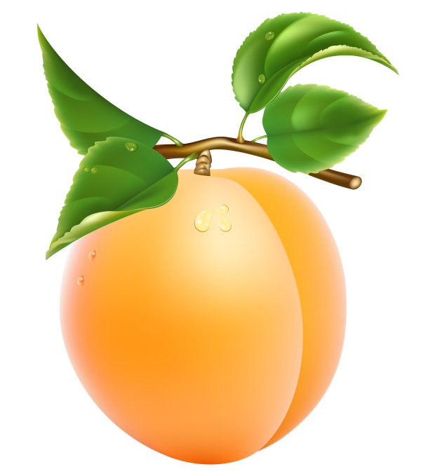 Apricot Icon