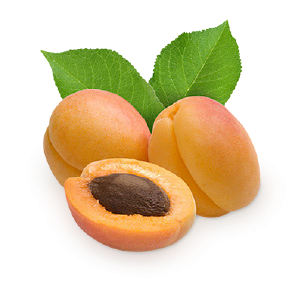 Apricot Png Icon Clipart