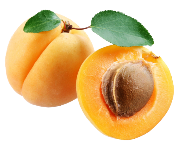 Apricot Png with Seed