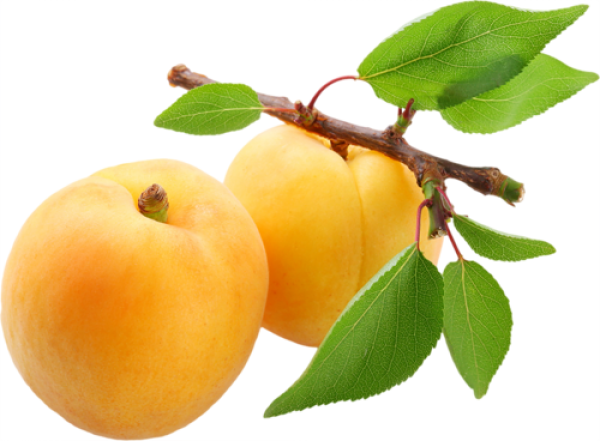 Apricot with Leaves Png