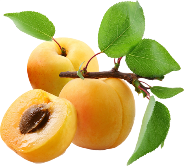Apricot with seeds and Leaves Png