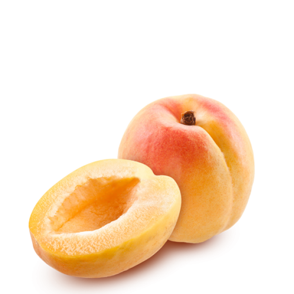 Apricot Without Seed