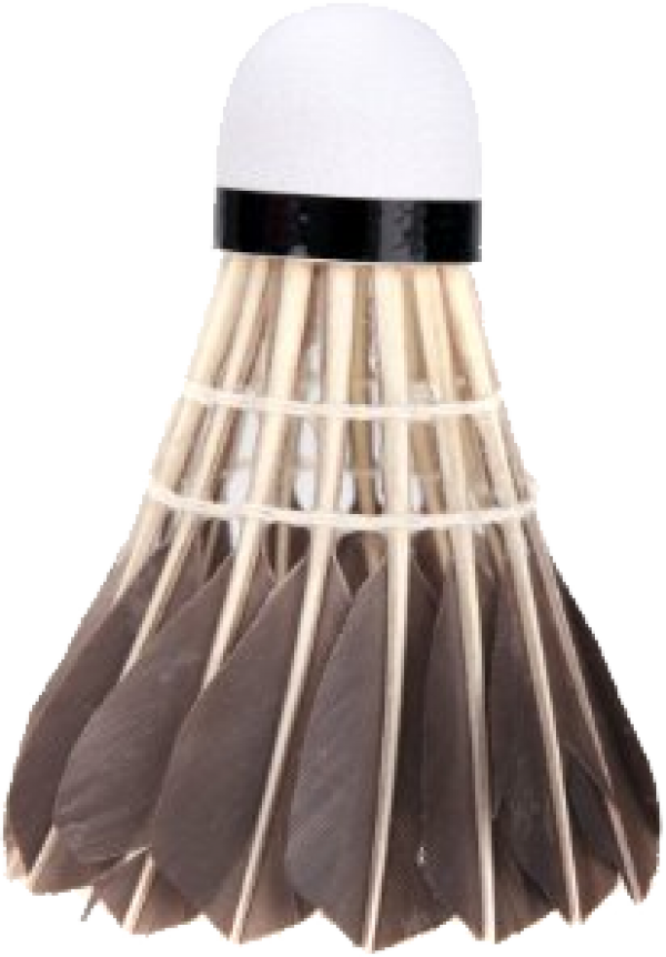 badminton chicken hair PNG