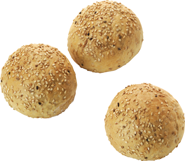 ball full breed  free png image download