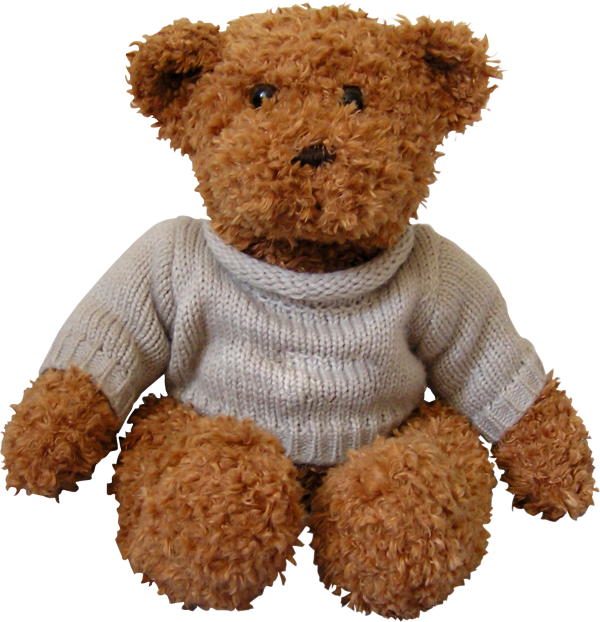 Bear Png Doll with Dress