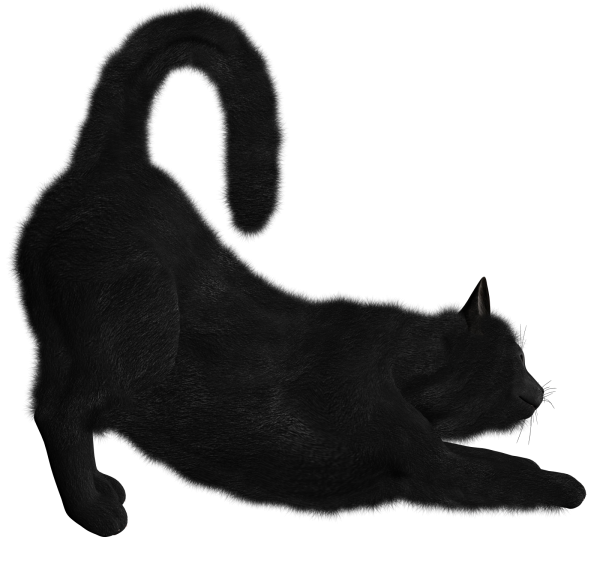 Black Cat Png Targeting