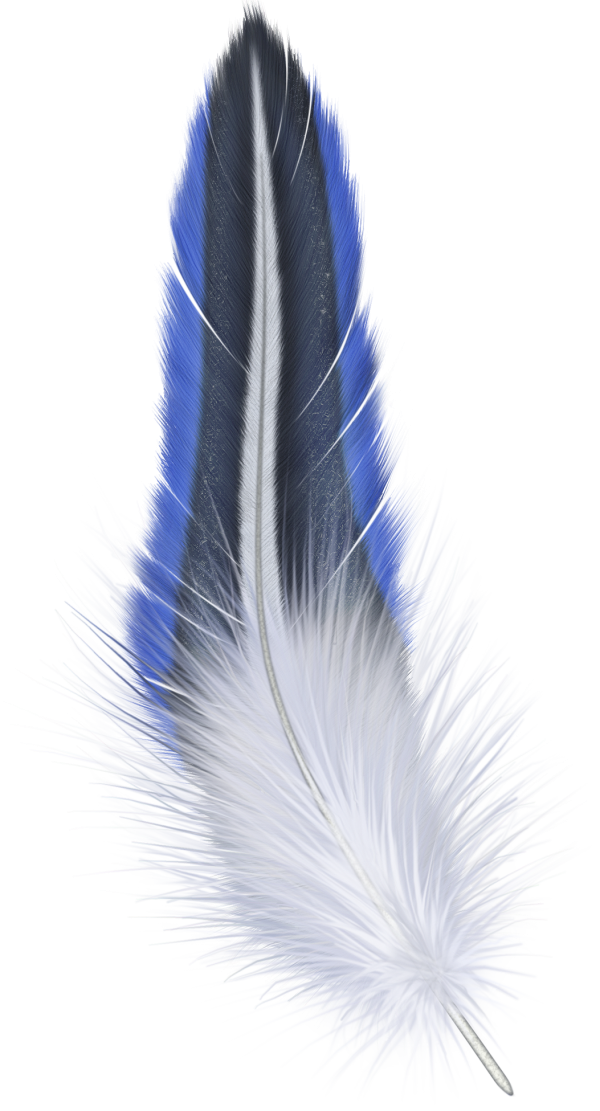 Bluish Feather Png