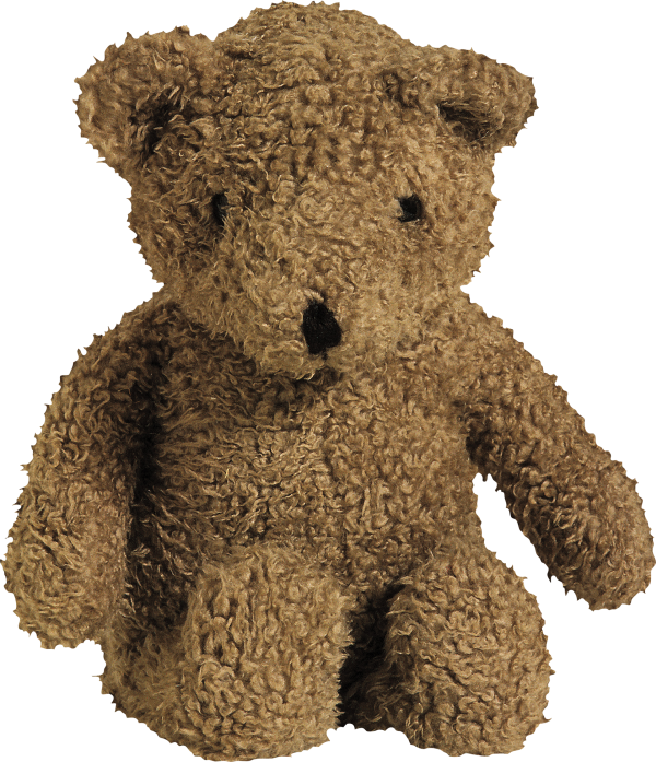 Brown Teddy Bear Png