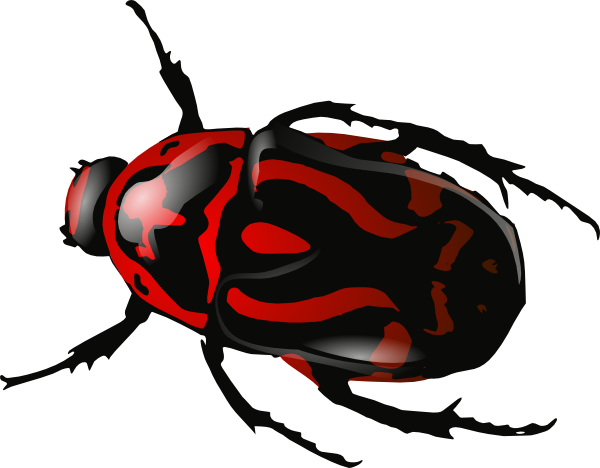 BUG Free PNG Image Download 24