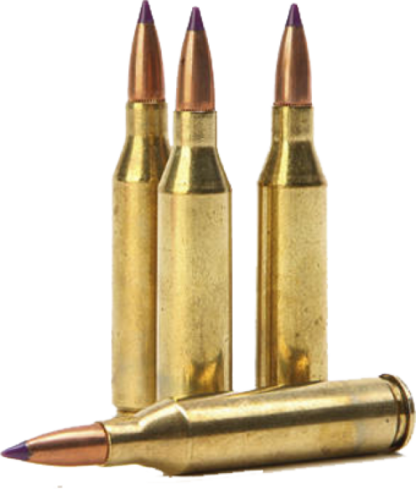 bullet png download