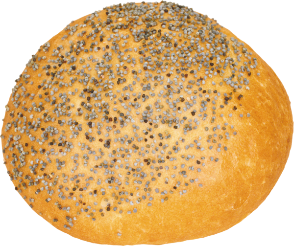 Bun Free PNG Image Download 53
