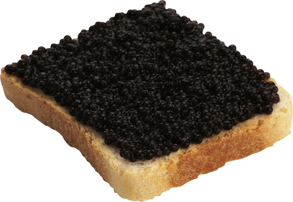 Burger Sandwich Free PNG Image Download 10