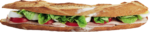 Burger Sandwich Free PNG Image Download 12