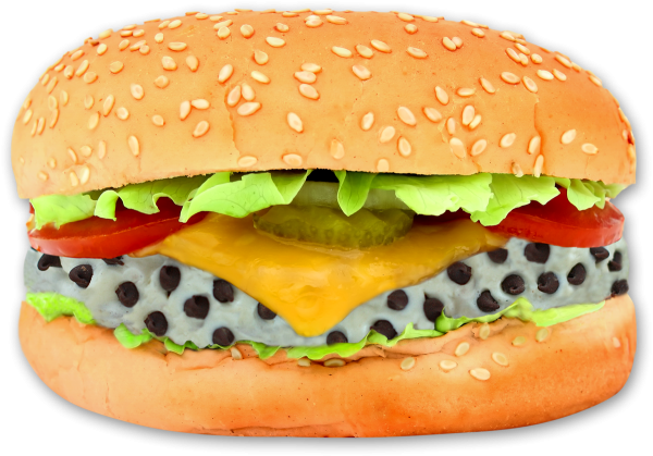 Burger Sandwich Free PNG Image Download 69