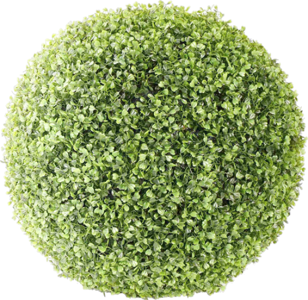 Bush PNG free Image Download 1